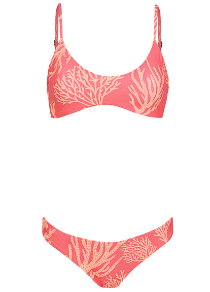 Thumbnail - Maaji Coral Reef Liberty Sporty Bralette Bikini Top - 11