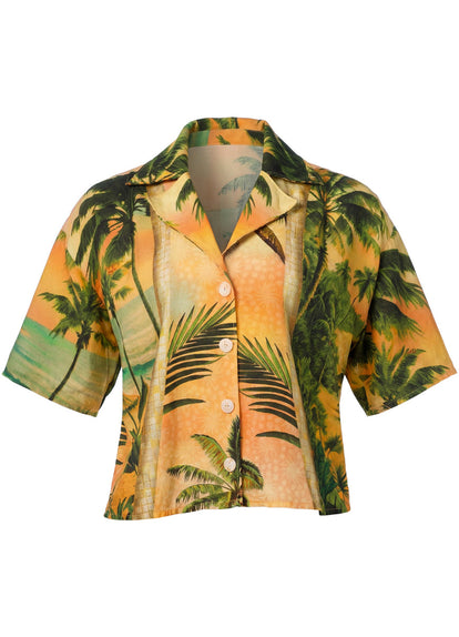  3D