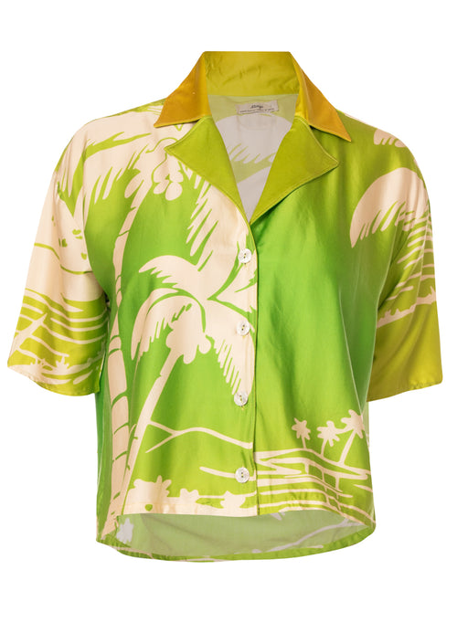 Alternative image -  3D