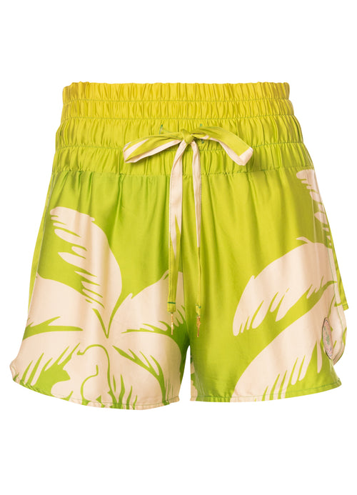 Alternative image -  3D