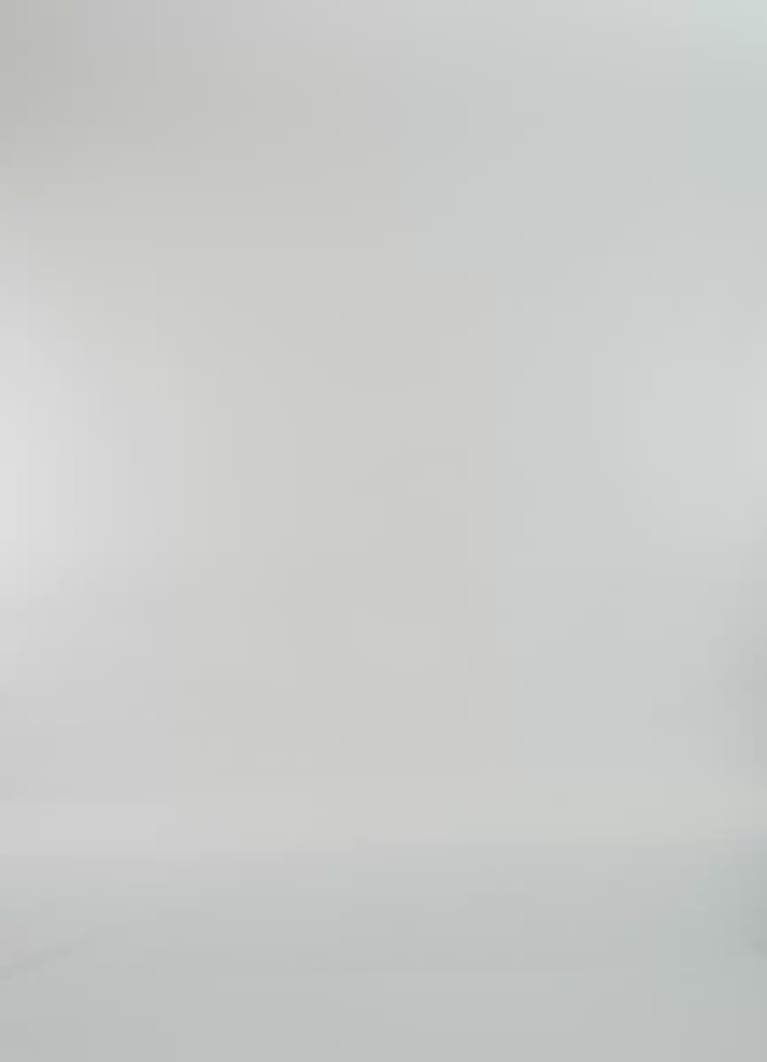 Foto de Ivory Shores Splenium Low Rise Tie Side Bikini Bottom by Maaji - Panties - Vestidos de Baño