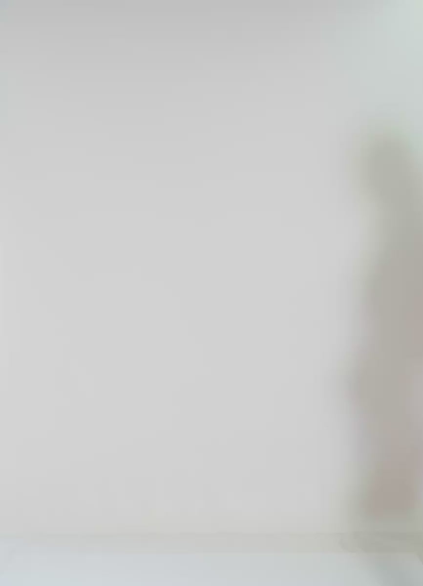 Maaji Aqua Dream Shine Long Line Triangle Bikini Top